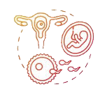 icon_sexualkunde